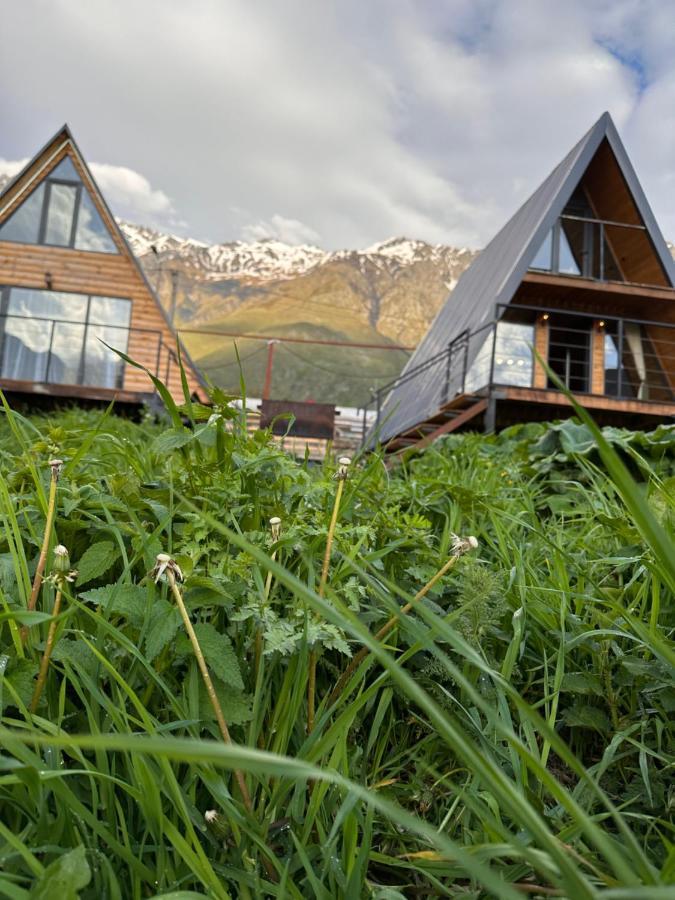 Alagi Cottage Kazbegi ภายนอก รูปภาพ
